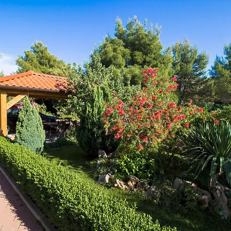 Appartement Apartment Apartmani Vesna Grebastica By Interhome *