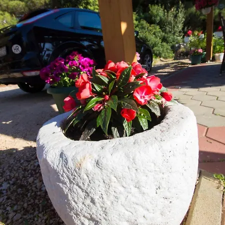 Appartement Apartment Apartmani Vesna Grebastica By Interhome *