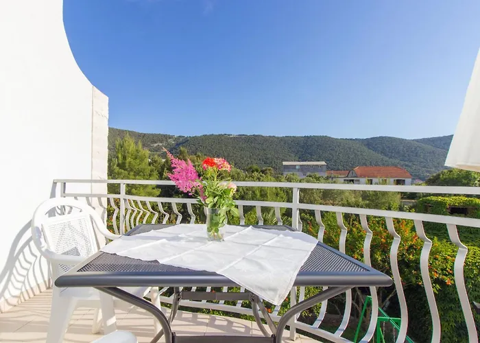 Apartment Apartmani Vesna Grebastica By Interhome דירה Grebaštica