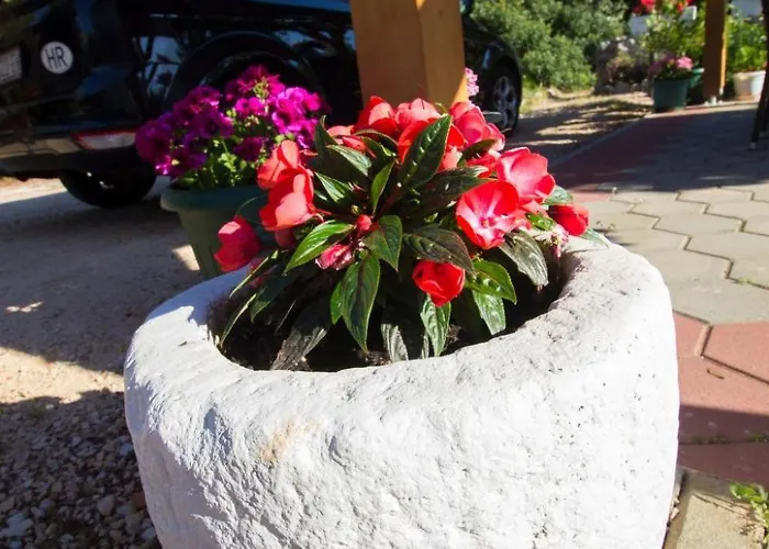 דירה Apartment Apartmani Vesna Grebastica By Interhome *